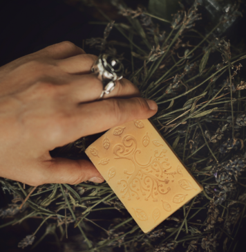 Wyjątkowa wystawa we Wrocławiu: Poznajcie historie i pasje osób w spektrum autyzmu!