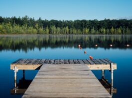 Gdzie nad wodę pod Wrocławiem? Sprawdź, kąpieliska w okolicy Wrocławia! Na zdjęciu pomost oraz staw