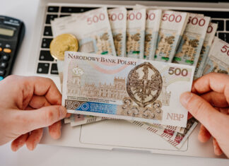 Pożyczka online i jej rodzaje. Czym różnią się od siebie poszczególne warianty?