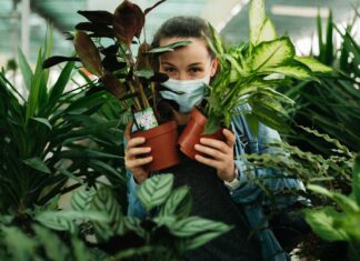 Festiwal roślin we Wrocławiu – raj dla miłośników zieleni i dobrego designu!