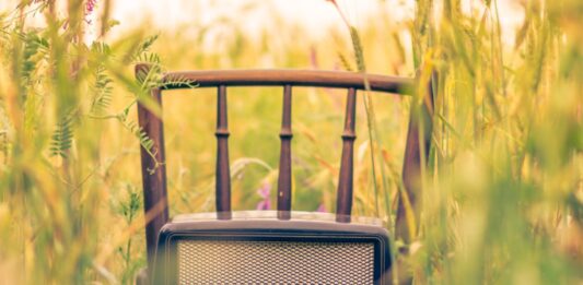 Wrocław: W Noc Muzeów w Muzeum Architektury odbędzie się botaniczne silent disco