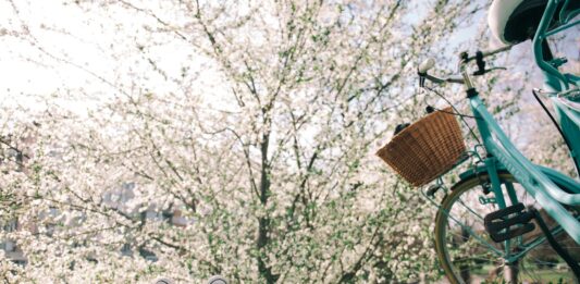 Wrocław: Prognoza pogody Wielkanoc 2024. Będzie ciepło!