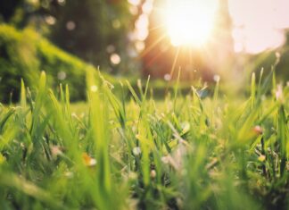 Astronomiczna wiosna, kiedy Słońce przekracza równik niebieski