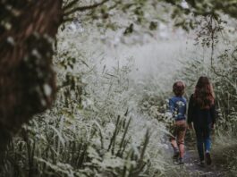 4 świetne miejsca na Dolnym Śląsku na letni wyjazd dla rodziny z dziećmi