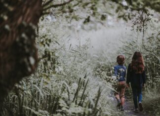 4 świetne miejsca na Dolnym Śląsku na letni wyjazd dla rodziny z dziećmi