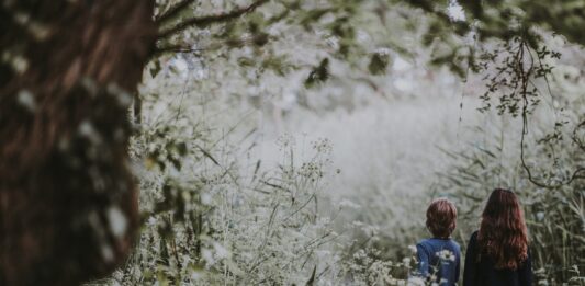 4 świetne miejsca na Dolnym Śląsku na letni wyjazd dla rodziny z dziećmi
