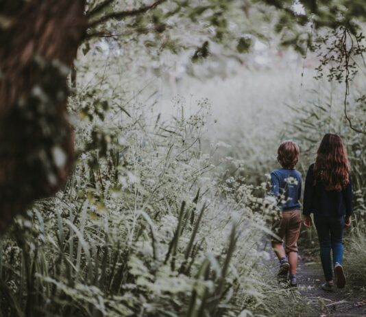 4 świetne miejsca na Dolnym Śląsku na letni wyjazd dla rodziny z dziećmi