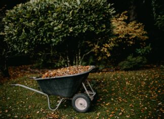 Jesienne prace ogrodowe – szybko i sprawnie