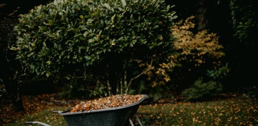 Jesienne prace ogrodowe – szybko i sprawnie
