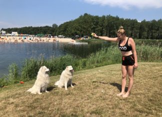 Wielkie świętowanie Dnia Psa w Kopalni Wrocław