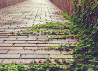 Gdzie można wykorzystać mycie ciśnieniowe?