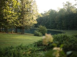 Wrocław: W parku na Złotnikach ma powstać kolejna miejska plaża. Ogłoszono przetarg