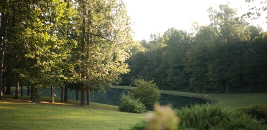 Wrocław: W parku na Złotnikach ma powstać kolejna miejska plaża. Ogłoszono przetarg