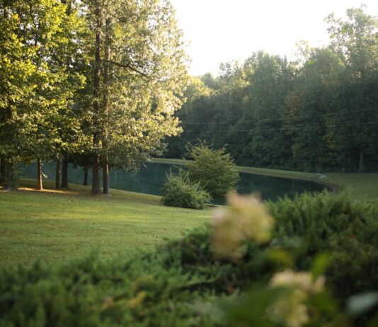 Wrocław: W parku na Złotnikach ma powstać kolejna miejska plaża. Ogłoszono przetarg