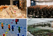 Bezpłatne wydarzenia we Wrocławiu – co warto sprawdzić?