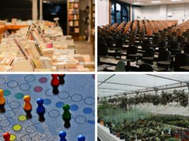 Bezpłatne wydarzenia we Wrocławiu – co warto sprawdzić?