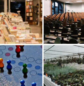 Bezpłatne wydarzenia we Wrocławiu – co warto sprawdzić?