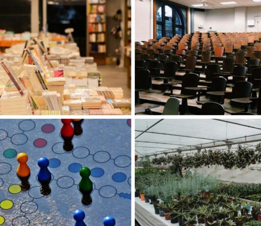 Bezpłatne wydarzenia we Wrocławiu – co warto sprawdzić?