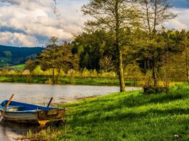 Gdzie legalnie na ryby w okolicach Wrocławia? – Lista miejsc na Dolnym Śląsku