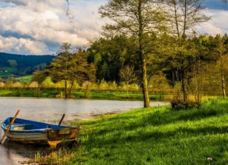 Gdzie legalnie na ryby w okolicach Wrocławia? – Lista miejsc na Dolnym Śląsku