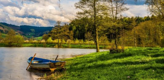 Gdzie legalnie na ryby w okolicach Wrocławia? – Lista miejsc na Dolnym Śląsku