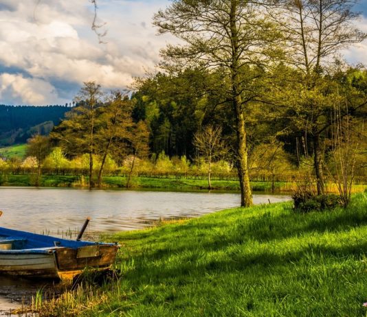 Gdzie legalnie na ryby w okolicach Wrocławia? – Lista miejsc na Dolnym Śląsku