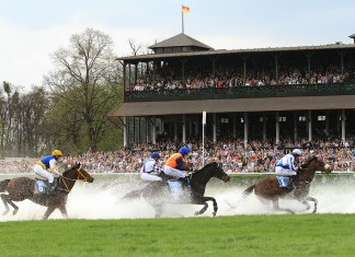 Rekordowa frekwencja podczas otwarcia sezonu wyścigów konnych na wrocławskich Partynicach