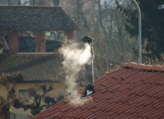 We Wrocławiu ruszyły wspólne patrole urzędników Wydziału Środowiska i straży miejskiej