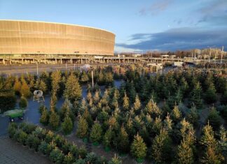 Na Stadionie Wrocław powstał Choinkowy Las! 10zł ze sprzedaży każdej choinki trafi do Przylądka Nadziei