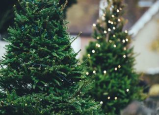 Święta we Wrocławiu: Jakie atrakcje będą otwarte?