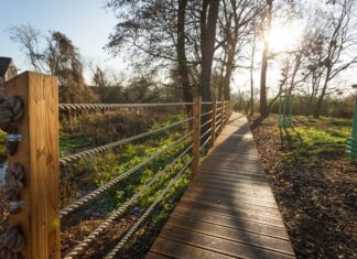 Są wyniki głosowania WBO 2020. Poznaj 20 zwycięskich projektów!