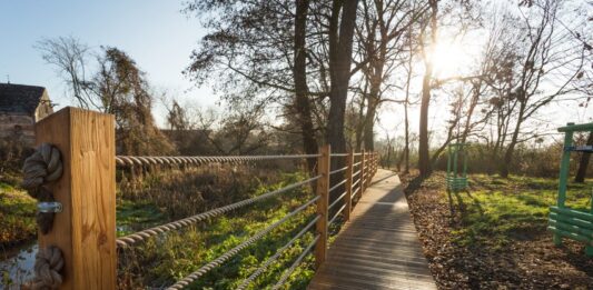 Są wyniki głosowania WBO 2020. Poznaj 20 zwycięskich projektów!