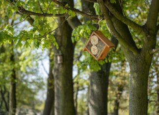 17 nowych domków dla owadów na Partynicach wokół Wrocławskiego Toru Wyścigów Konnych