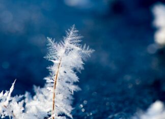 Mroźne dni we Wrocławiu: prognoza na najbliższy tydzień