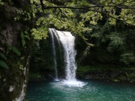 5 najpiękniejszych wodospadów na Dolnym Śląsku, które musisz zobaczyć! Na zdjęciu wodospad