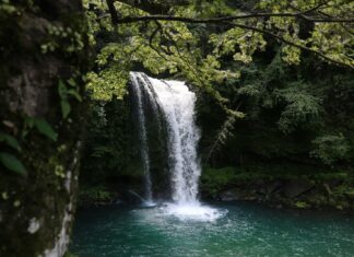 5 najpiękniejszych wodospadów na Dolnym Śląsku, które musisz zobaczyć! Na zdjęciu wodospad
