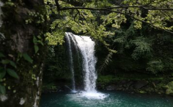 5 najpiękniejszych wodospadów na Dolnym Śląsku, które musisz zobaczyć! Na zdjęciu wodospad