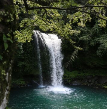 5 najpiękniejszych wodospadów na Dolnym Śląsku, które musisz zobaczyć! Na zdjęciu wodospad