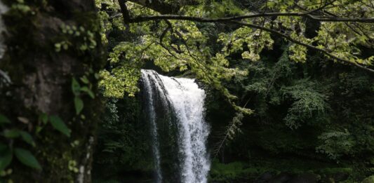 5 najpiękniejszych wodospadów na Dolnym Śląsku, które musisz zobaczyć! Na zdjęciu wodospad
