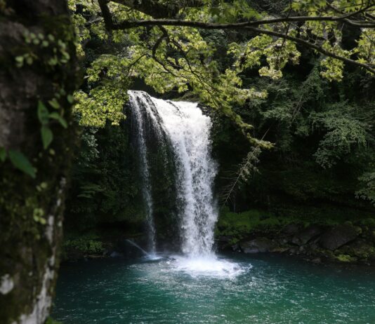 5 najpiękniejszych wodospadów na Dolnym Śląsku, które musisz zobaczyć! Na zdjęciu wodospad