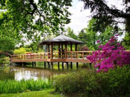 Ogród Japoński we Wrocławiu. Otwarcie sezonu już 1 kwietnia!