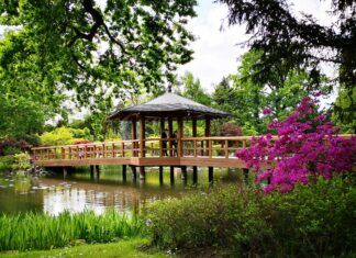 Ogród Japoński we Wrocławiu. Otwarcie sezonu już 1 kwietnia!