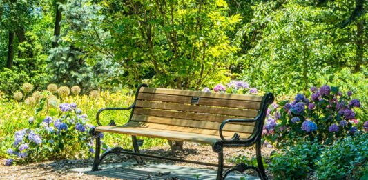 Powalcz o Zieloną Ławeczkę i mały ogródek na Twoim osiedlu. Konkurs dla mieszkańców – do zgarnięcia 2500zł!