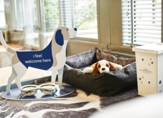 Nowe oblicze Hotelu Novotel – przyjazny rodzinom i zwierzętom