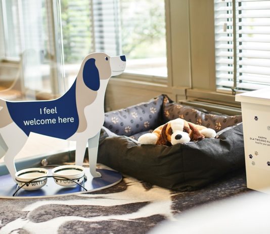 Nowe oblicze Hotelu Novotel – przyjazny rodzinom i zwierzętom