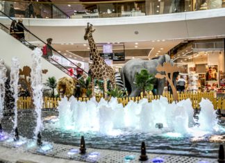 Safari we Wroclavii. Spotkaj się oko w oko z dzikimi zwierzętami w centrum miasta