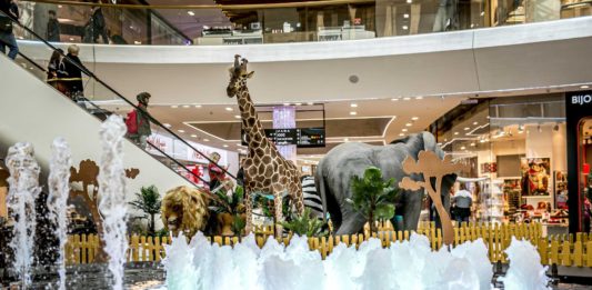 Safari we Wroclavii. Spotkaj się oko w oko z dzikimi zwierzętami w centrum miasta