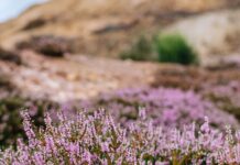 Najpiękniejsze parki krajobrazowe na Dolnym Śląsku cz.3