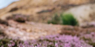 Najpiękniejsze parki krajobrazowe na Dolnym Śląsku cz.3