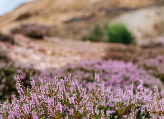 Najpiękniejsze parki krajobrazowe na Dolnym Śląsku cz.3
